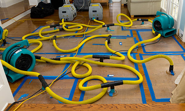 Professional Structural Drying And Dehumidification technician working in East China, MI